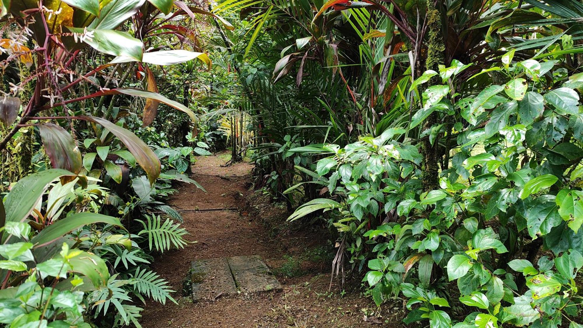 Rio Celeste Nature View Упала Экстерьер фото